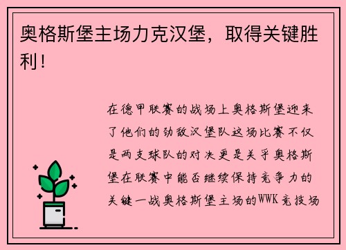 奥格斯堡主场力克汉堡，取得关键胜利！